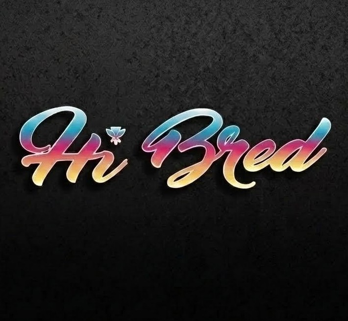 HI Bred Volleyball Club logo
